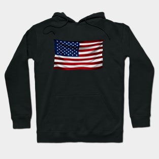 Flag of Liberty America's Glory Hoodie